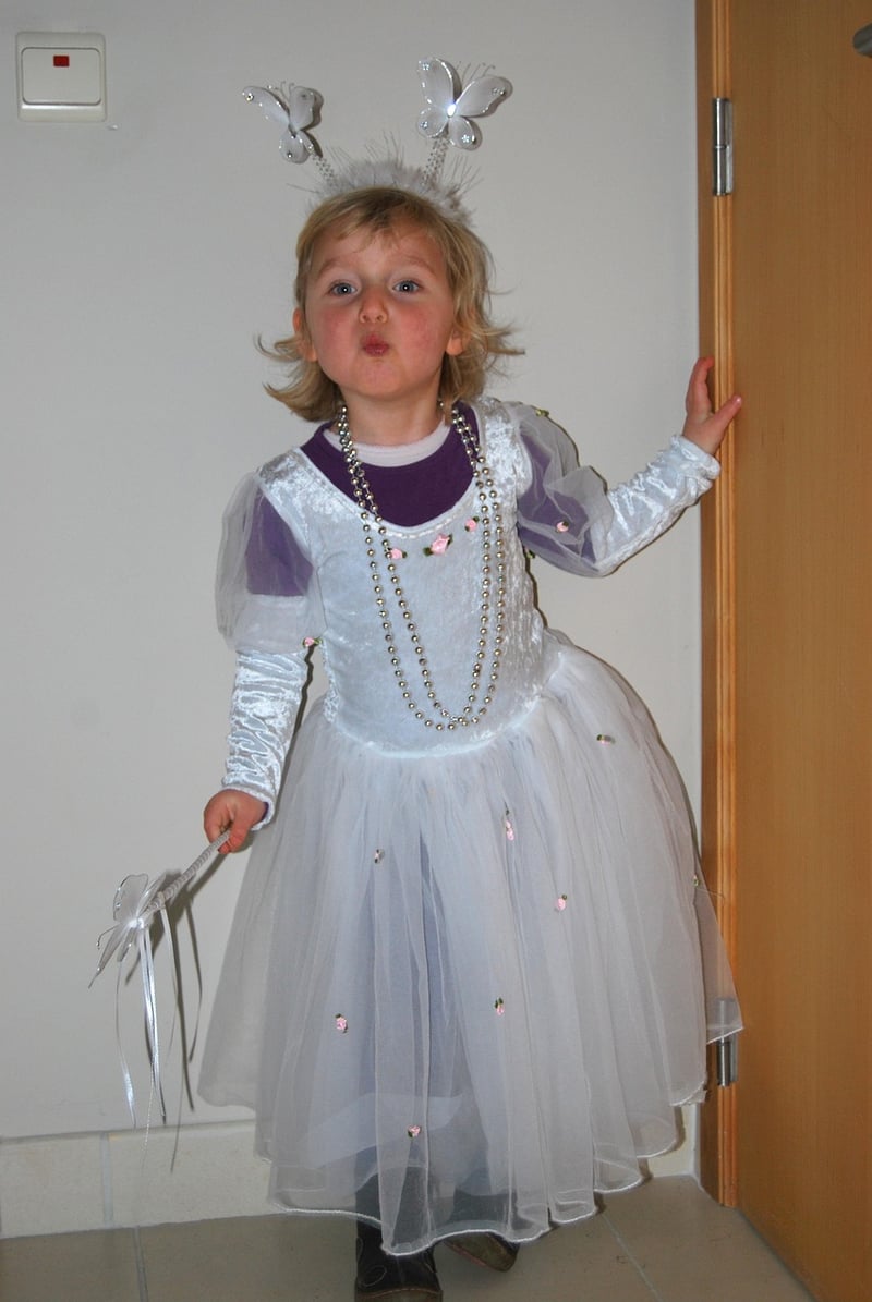 Fairy Princess